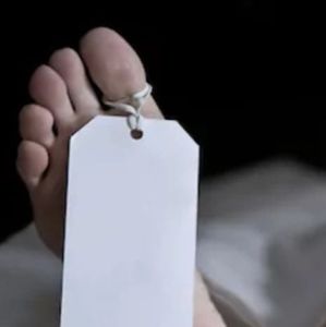 Meet your Posher, Earl